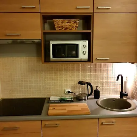 Apartment Vistula *